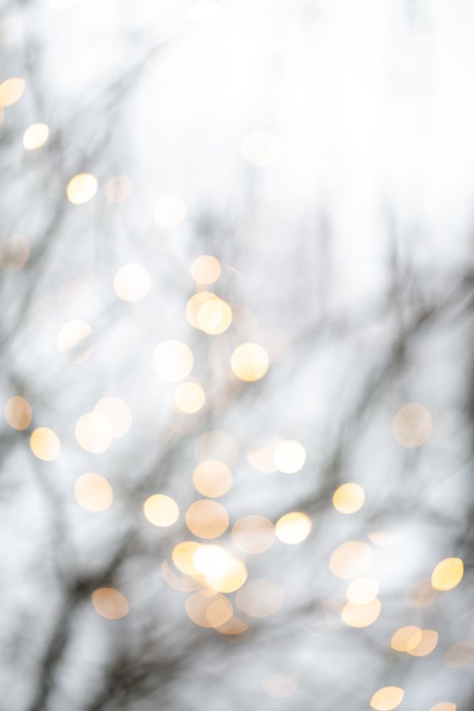 Winter Lights 2 art print by Mareike Bohmer for $57.95 CAD