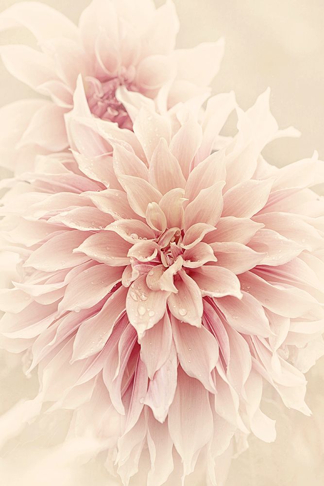 Calm art print by Jacky Parker for $57.95 CAD