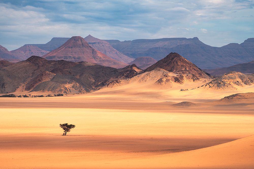 Namibia - Solitude art print by Jean Claude Castor for $57.95 CAD