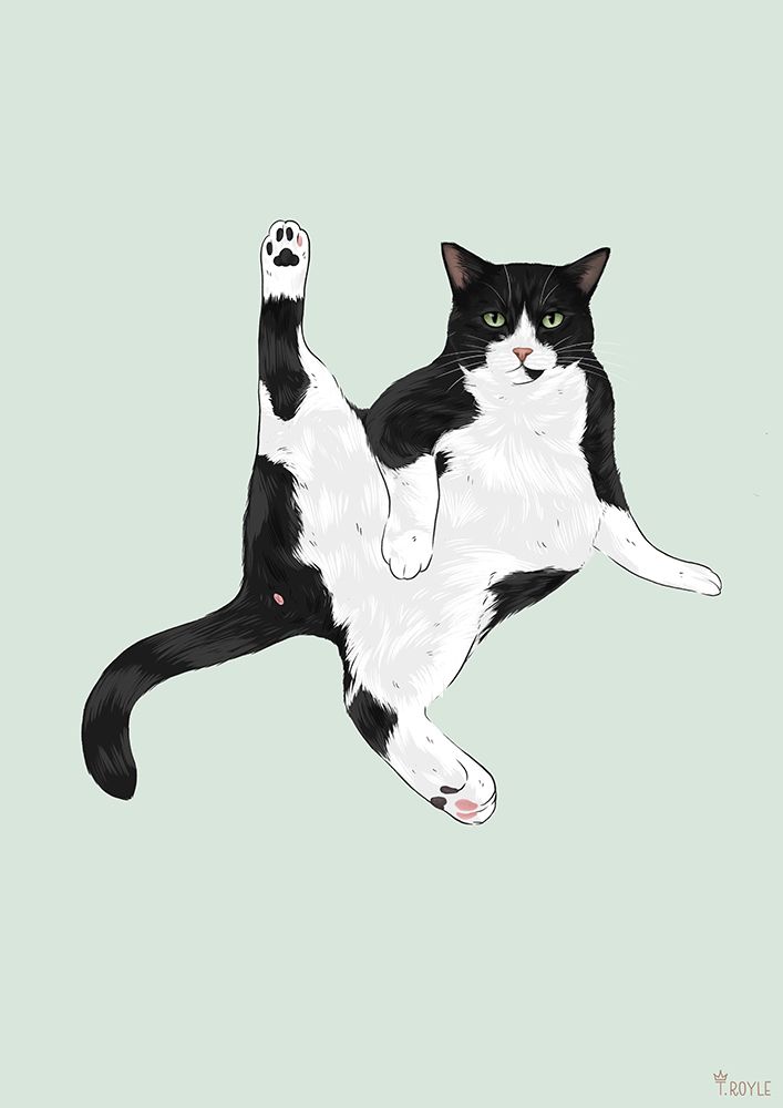 Yoga Cat art print by Tara Royle for $57.95 CAD