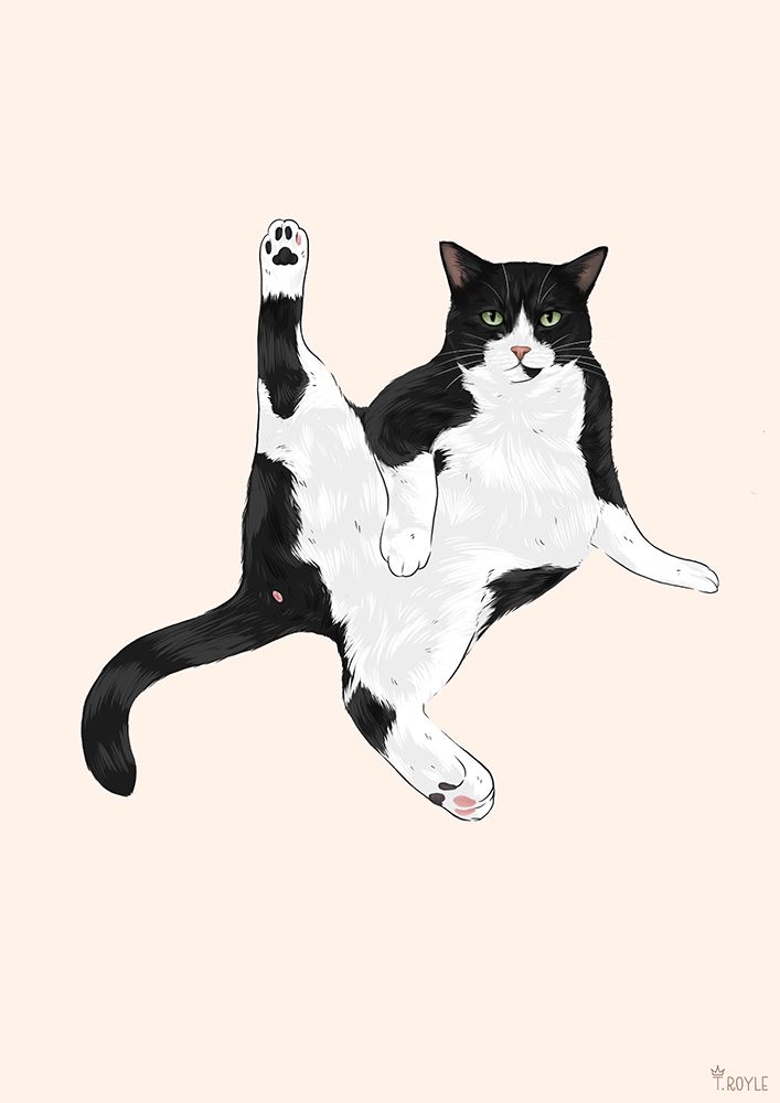 Sassy Cat art print by Tara Royle for $57.95 CAD