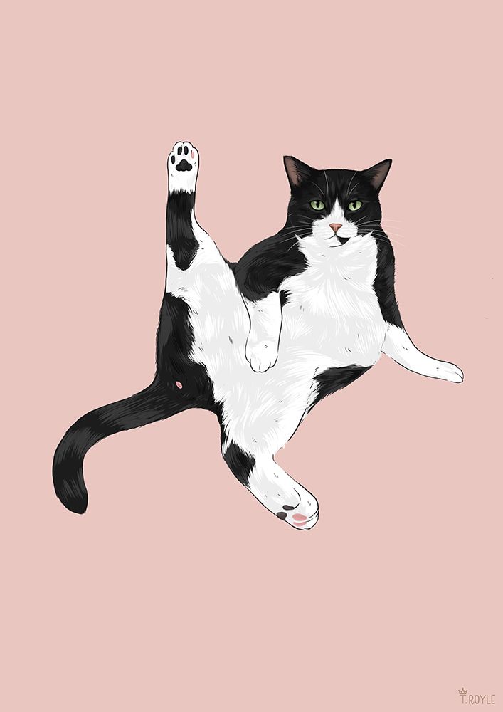 Sassy Cat art print by Tara Royle for $57.95 CAD