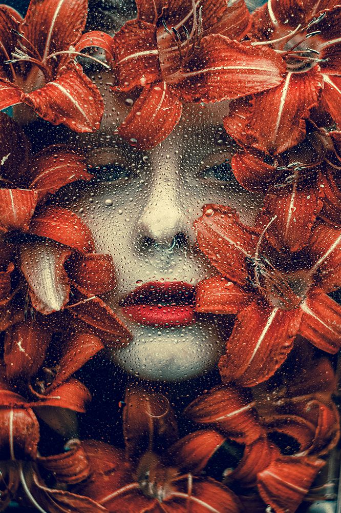 Alina art print by Barbora Binovcova for $57.95 CAD