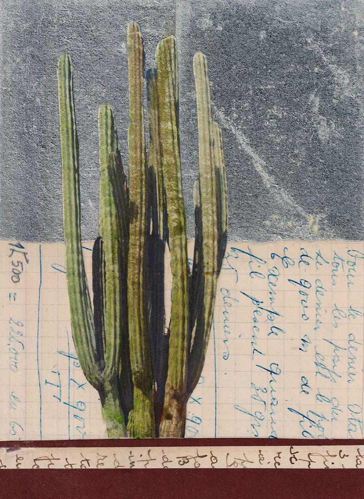 Cactus II art print by Lene Bladbjerg for $57.95 CAD