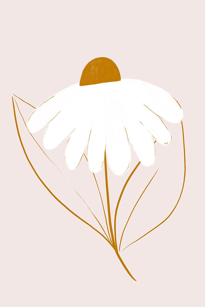 White Daisy 24x36 art print by Menina Lisboa for $57.95 CAD
