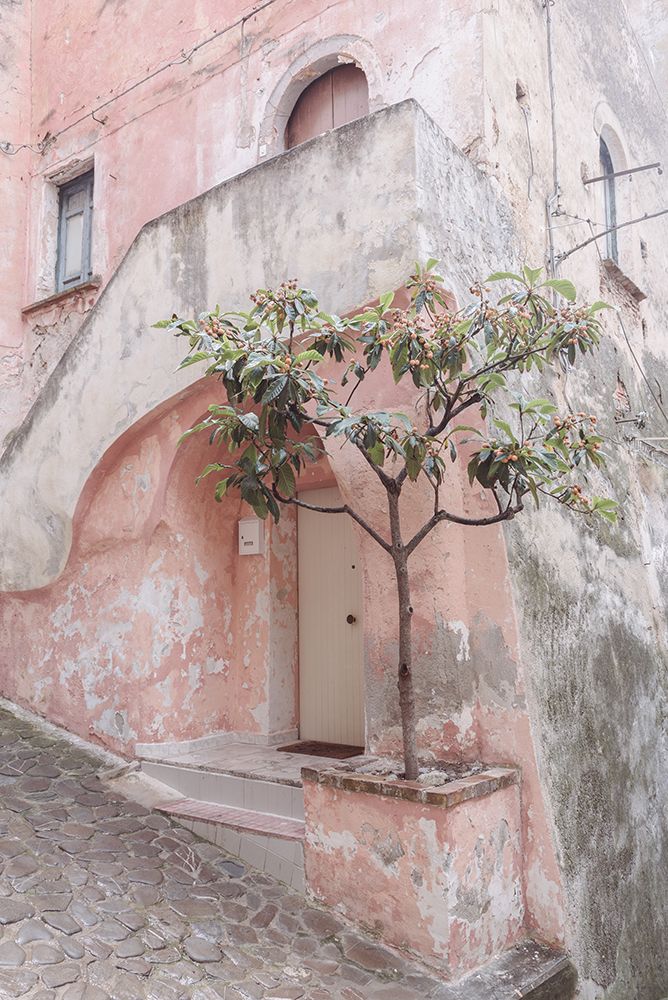 Pink house in Corigliano Calabro art print by Photolovers for $57.95 CAD