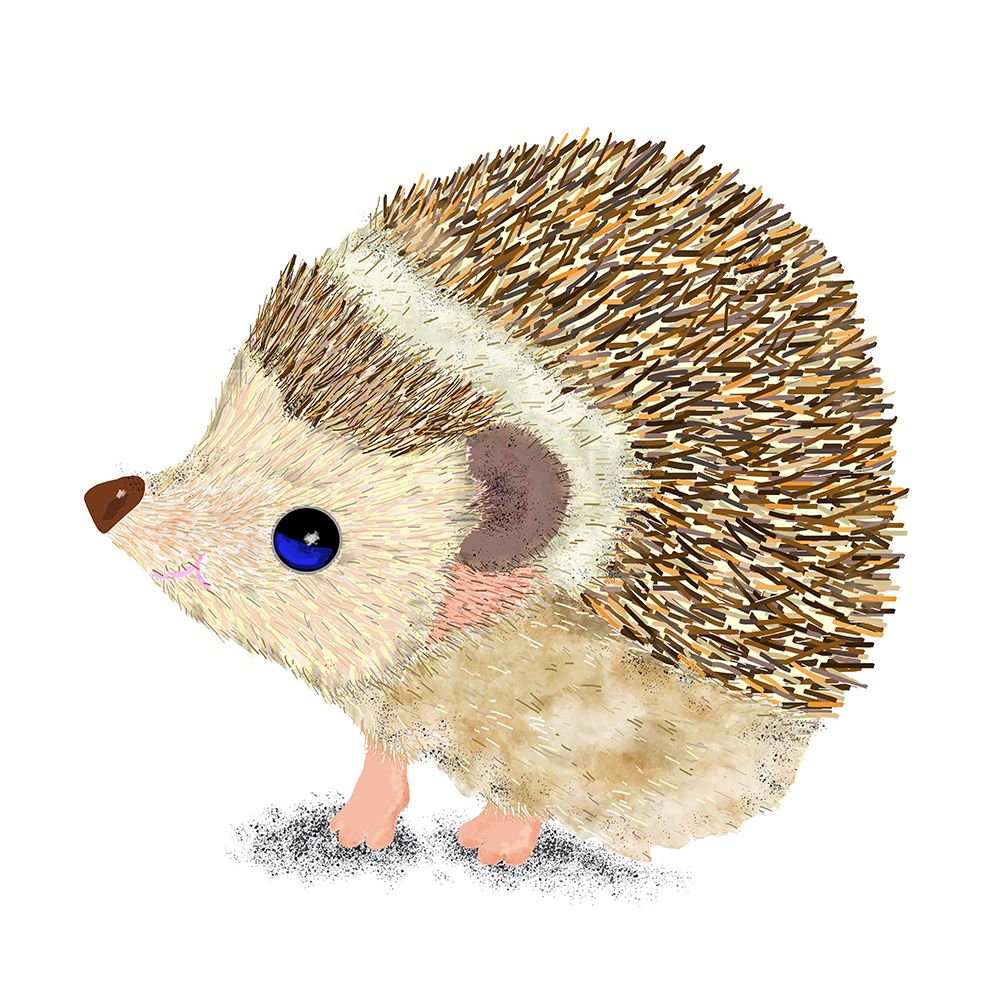 Hedgehog art print by Lynnda Rakos for $57.95 CAD