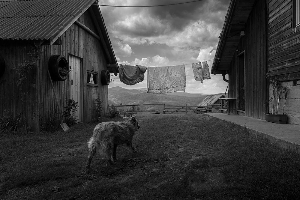 Laundry day art print by Alin Federiga for $57.95 CAD