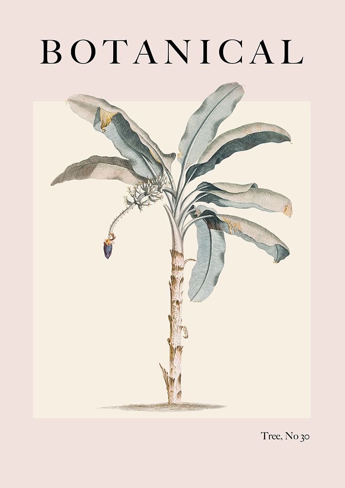 Botanicalno30 Ratioiso art print by Grace Digital Art for $57.95 CAD