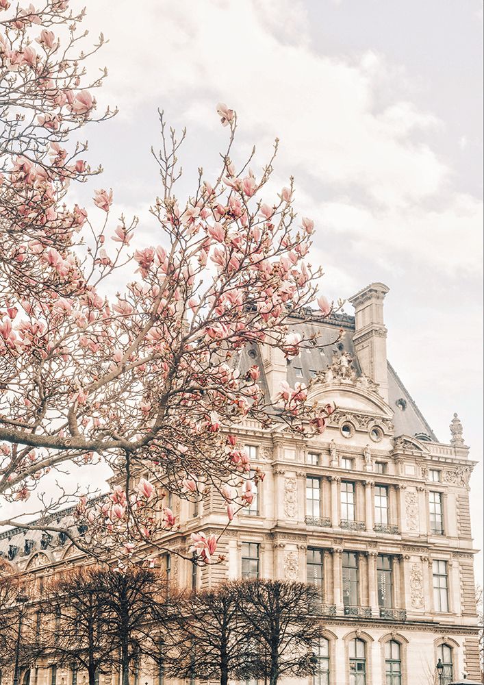 Magnoliaparis Ratioiso art print by Grace Digital Art for $57.95 CAD