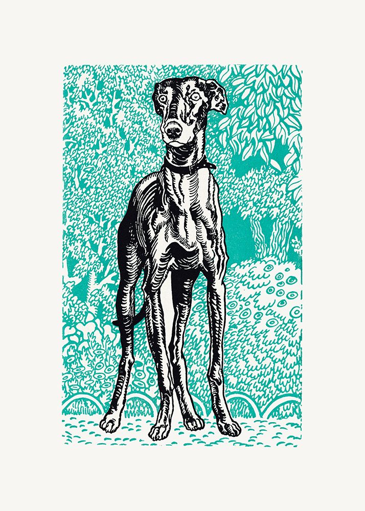Greyhound art print by Moriz Jung for $57.95 CAD