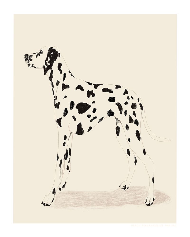 Pandc Dalmation art print by Jenny Liz Rome for $57.95 CAD