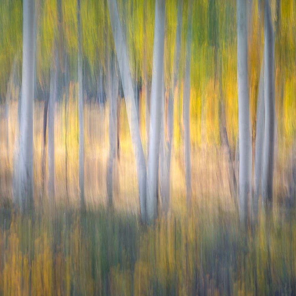 Autumn Bliss art print by Martin Maier for $57.95 CAD