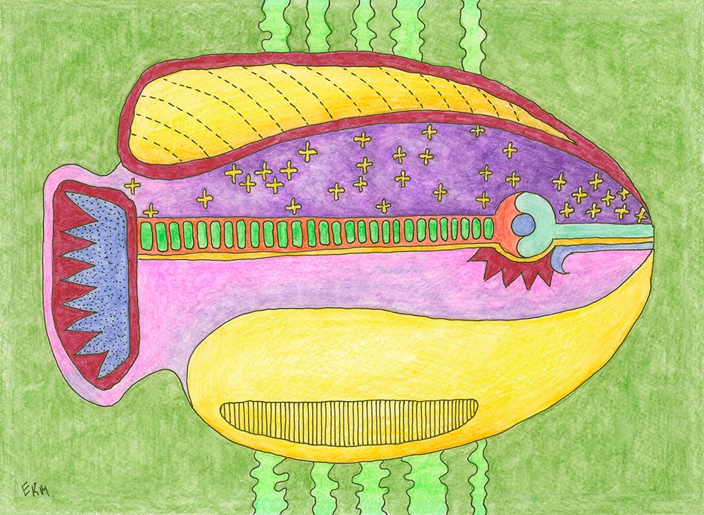 The Fish art print by Elena Khomutova-Miller for $57.95 CAD