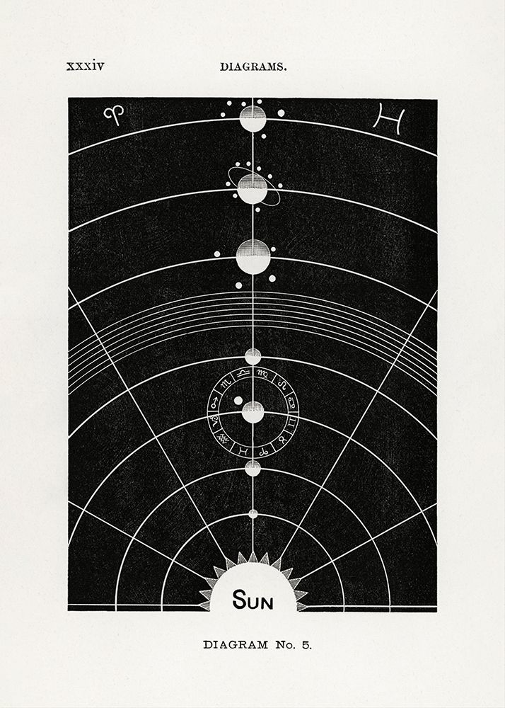 Solar Biology No. 5 art print by Hiram Eratus Butler for $57.95 CAD