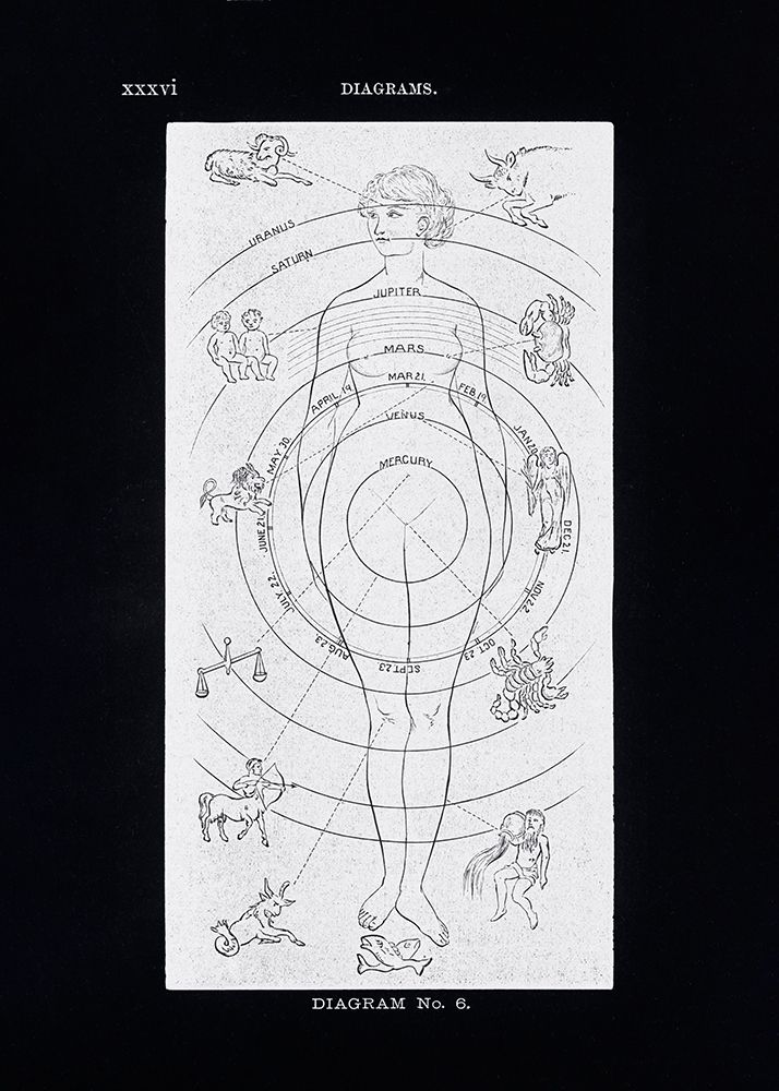 Solar Biology No. 6 Black (Creative ed) art print by Hiram Eratus Butler for $57.95 CAD