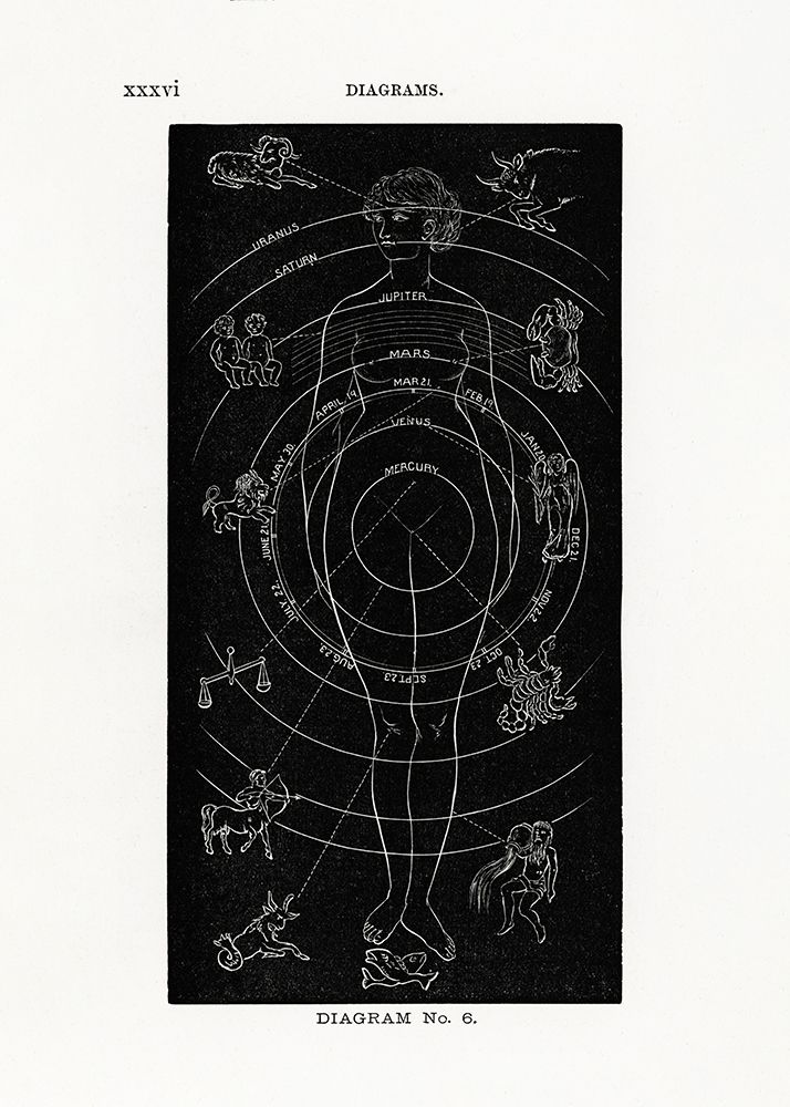 Solar Biology No. 6 art print by Hiram Eratus Butler for $57.95 CAD