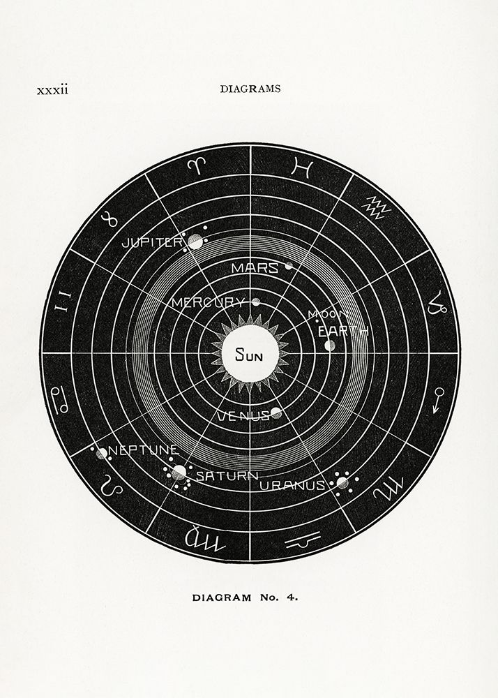 Solar Biology No.4 art print by Hiram Eratus Butler for $57.95 CAD