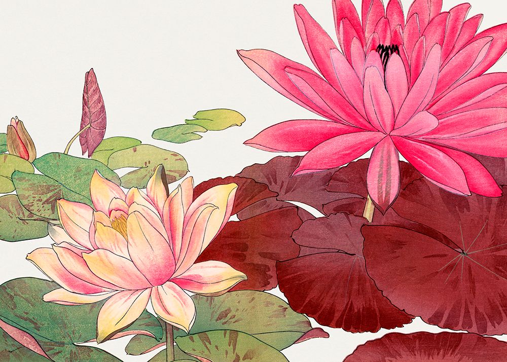 Nymphaea Lotus No.2 art print by Tanigami Konan for $57.95 CAD