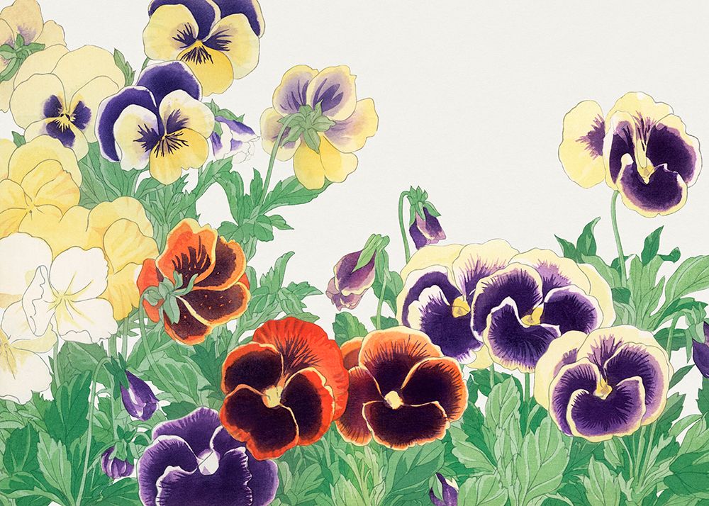 Vintage Pansy Flower No.2 art print by Tanigami Konan for $57.95 CAD