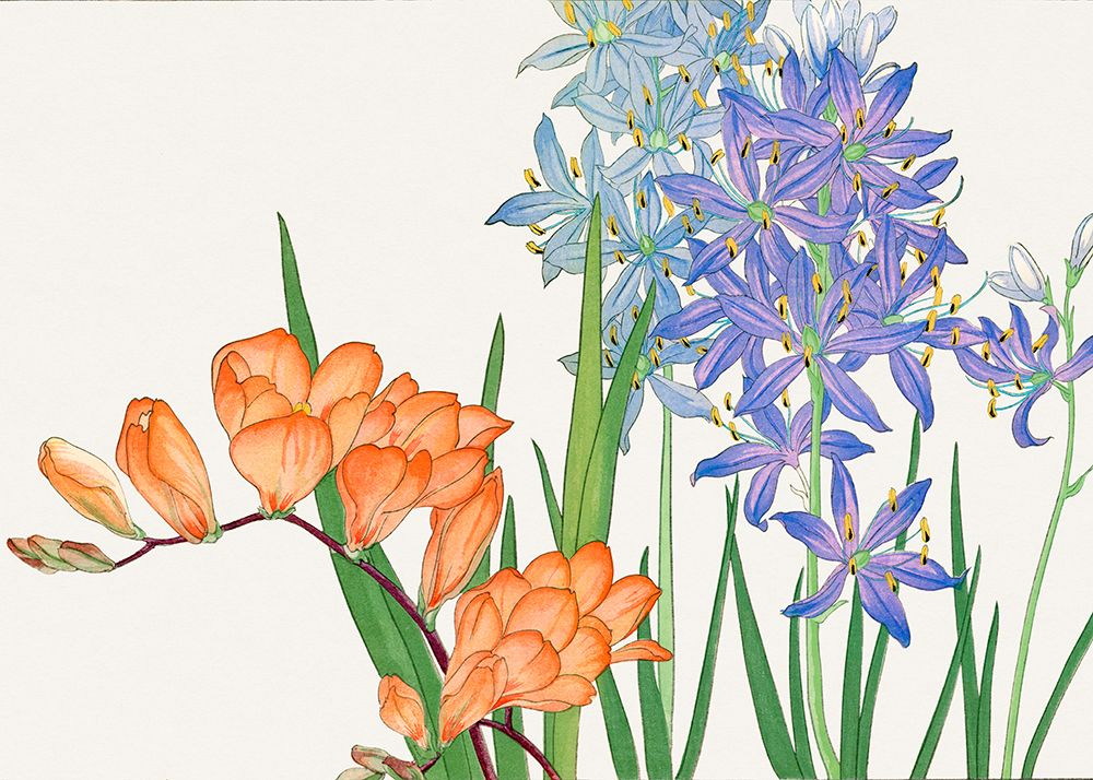 Freesia Flower No.2 art print by Tanigami Konan for $57.95 CAD