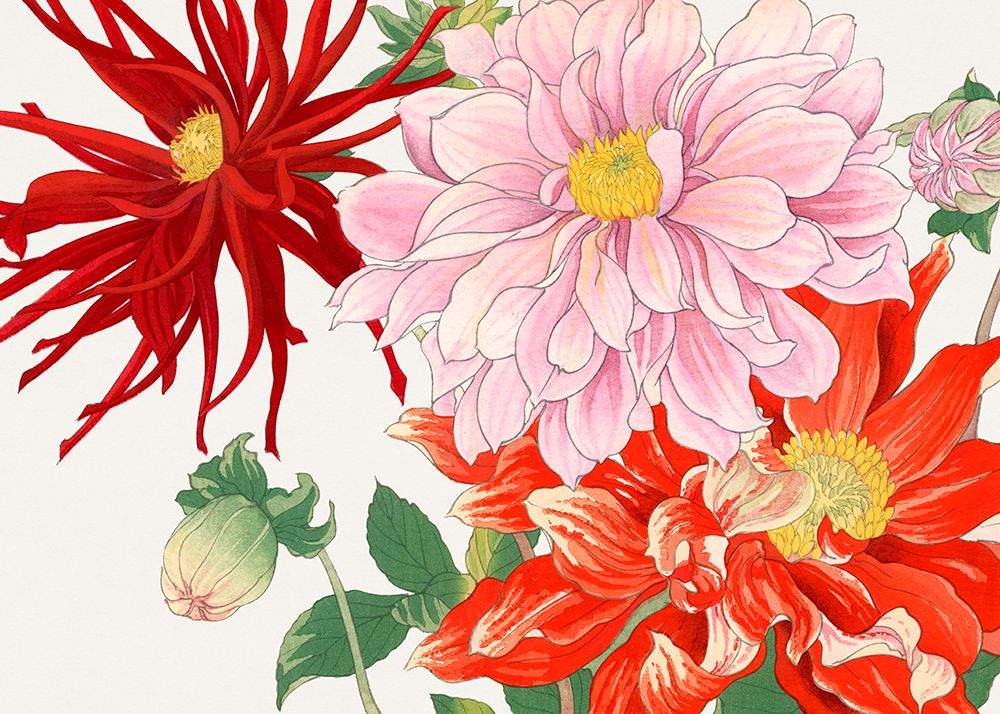 Dahlia Flower No.2 art print by Tanigami Konan for $57.95 CAD