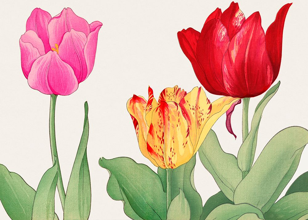 Tulips No.2 art print by Tanigami Konan for $57.95 CAD