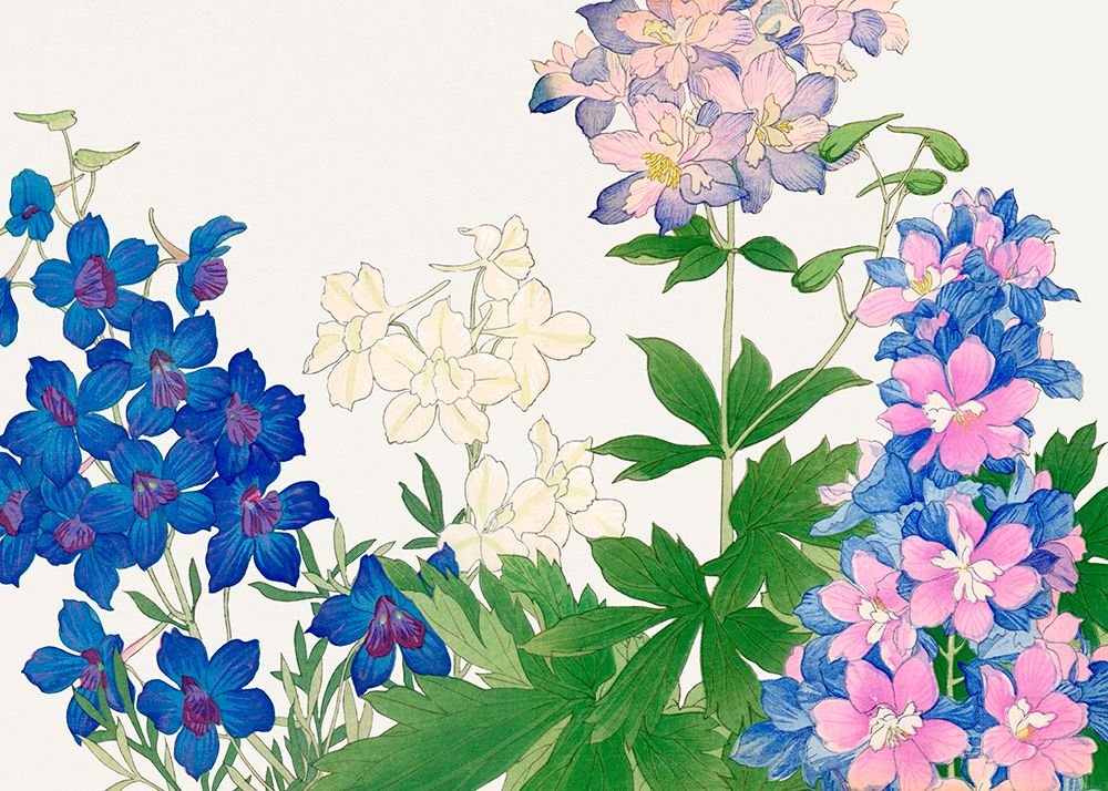 Delphinium Flower No.2 art print by Tanigami Konan for $57.95 CAD