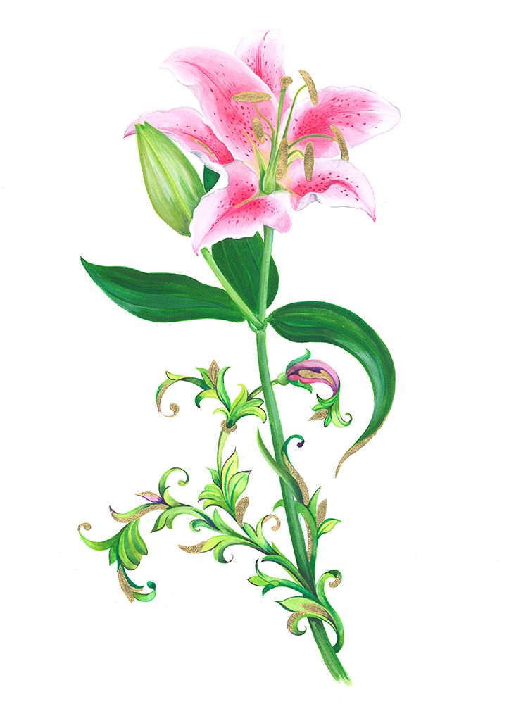 Stargazer Lily art print by Isabelle Brent for $57.95 CAD