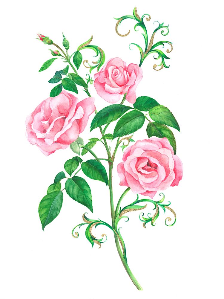Pink Roses art print by Isabelle Brent for $57.95 CAD