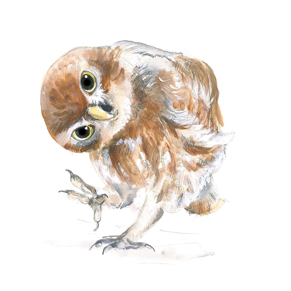Curious Owl art print by Isabelle Brent for $57.95 CAD