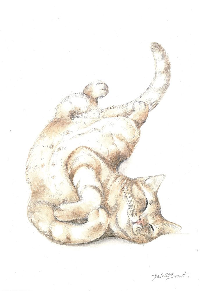 Relaxed Cat art print by Isabelle Brent for $57.95 CAD