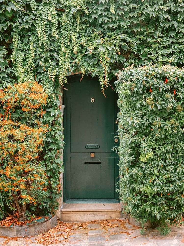 Ivy Covered House In Montmartre Paris art print by Raisa Zwart for $57.95 CAD