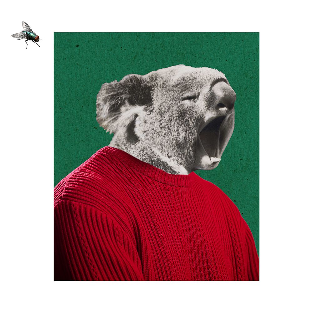 Koala man art print by Ekaterina Lukovnikova for $57.95 CAD