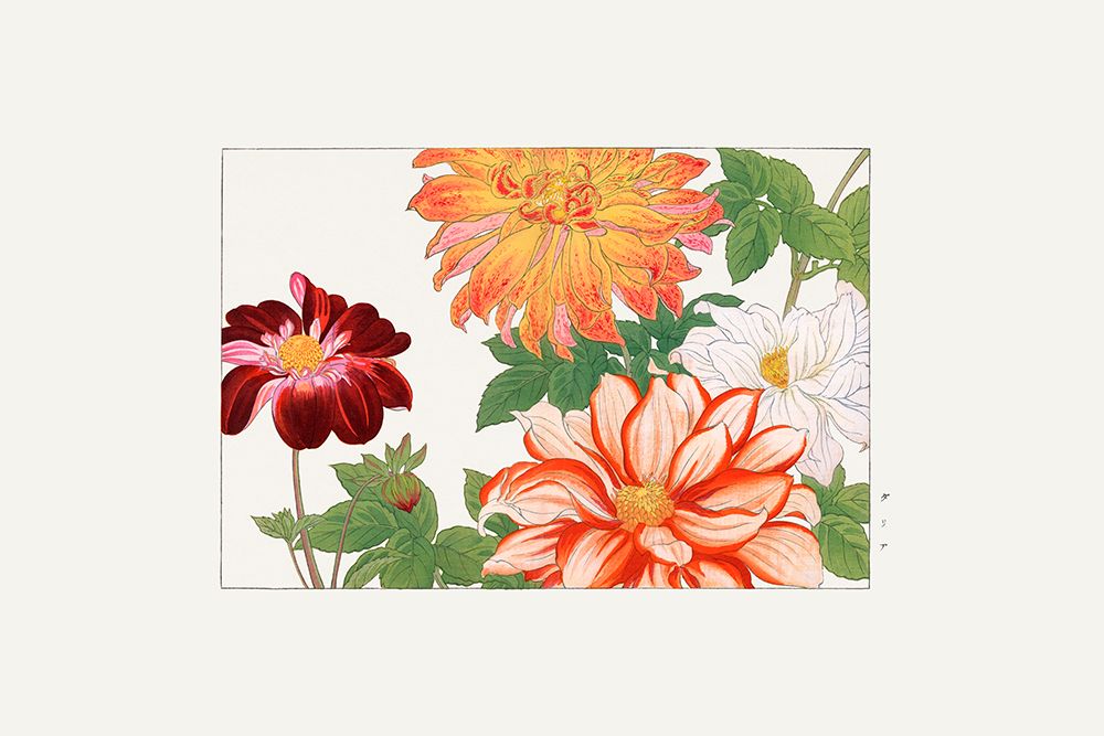 Dahlia Flower art print by Tanigami Konan for $57.95 CAD