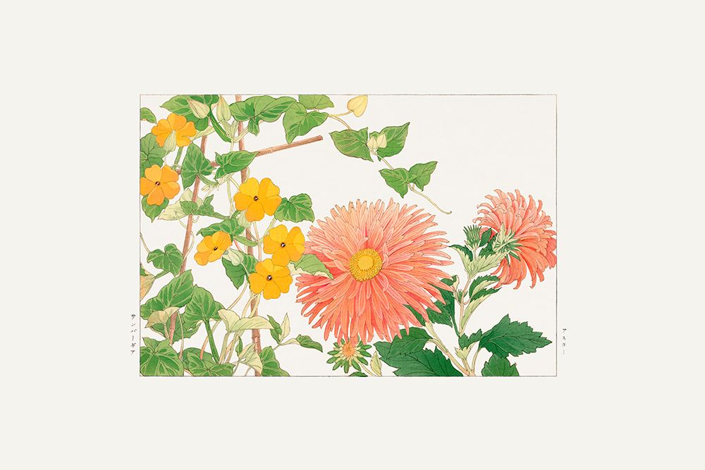 Thunbergia a Aster Flower art print by Tanigami Konan for $57.95 CAD