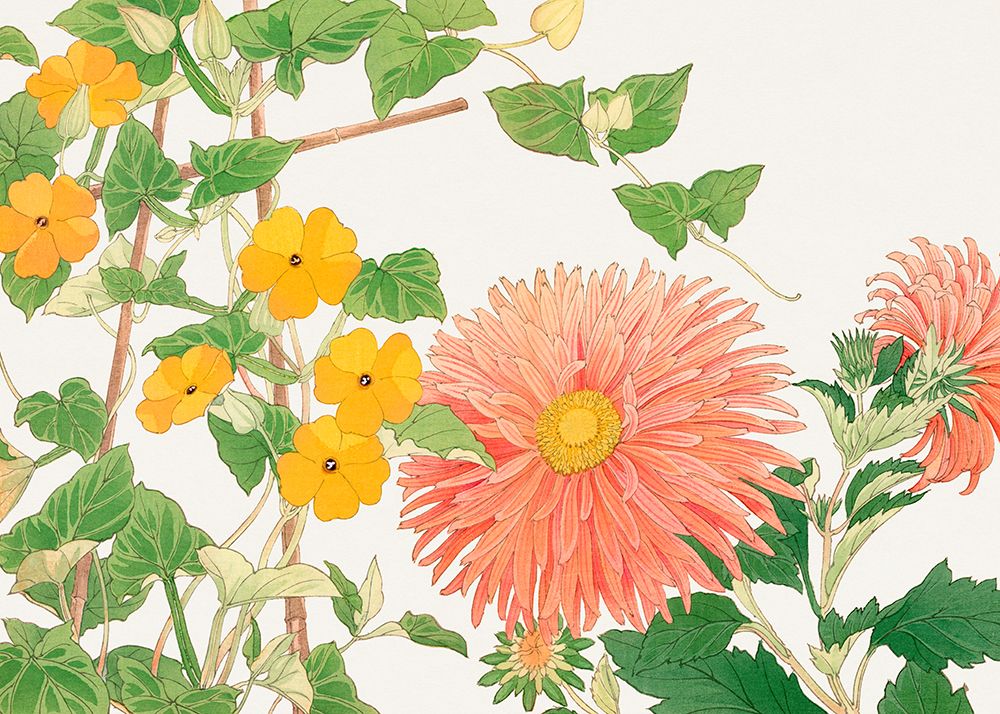 Thunbergia a Aster Flower No2 art print by Tanigami Konan for $57.95 CAD