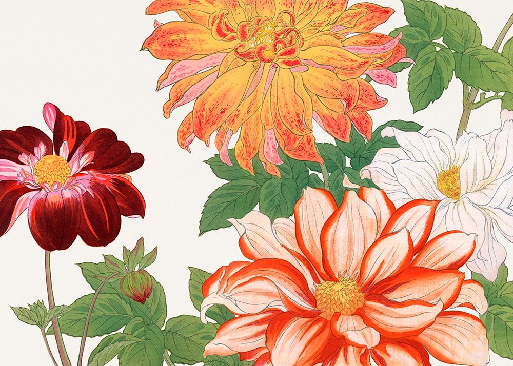 Dahlia Flower No.2 art print by Tanigami Konan for $57.95 CAD