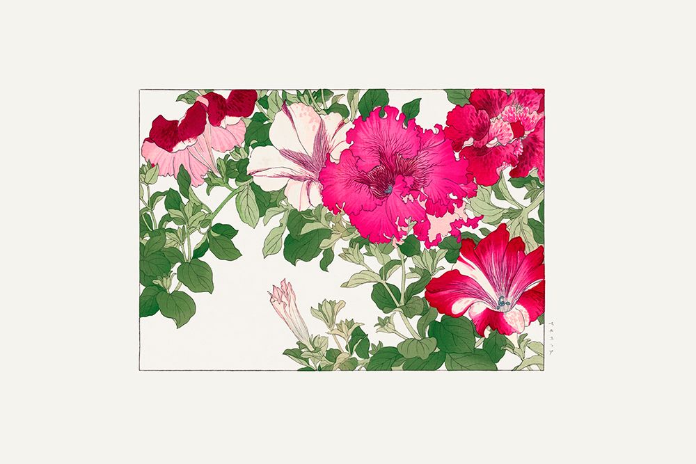 Vintage Petunia Flower art print by Tanigami Konan for $57.95 CAD