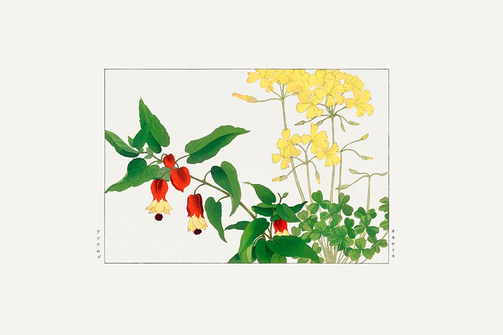 Wood Sorrel art print by Tanigami Konan for $57.95 CAD