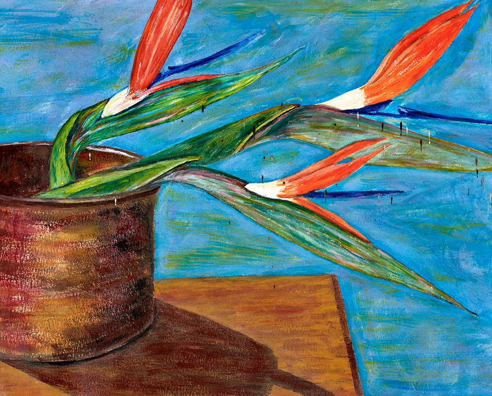 Strelitzia By Colleen Hefer art print by Hefer and Dale for $57.95 CAD