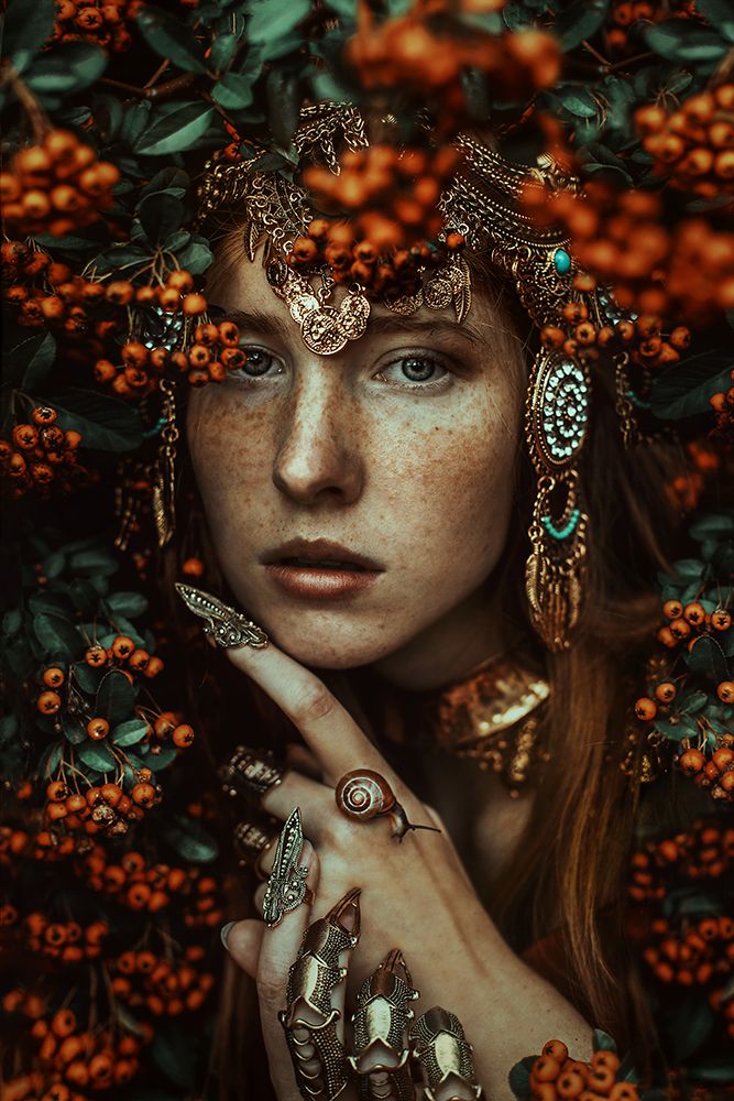 Hawthorn art print by Marketa Leupoldova for $57.95 CAD