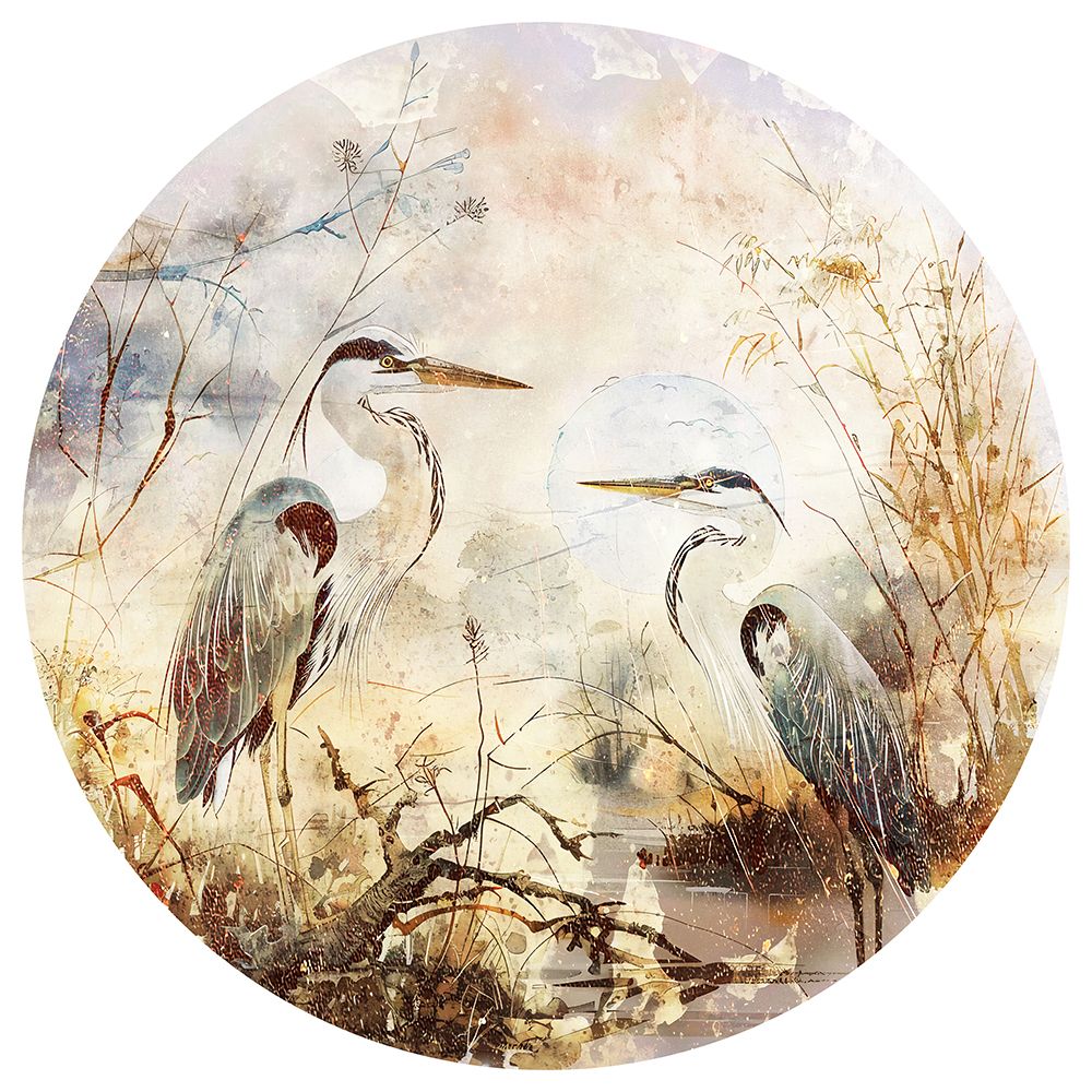 Bird Birds Animal Vintage Art Illustration Wallart 14 art print by Rafal Kulik for $57.95 CAD