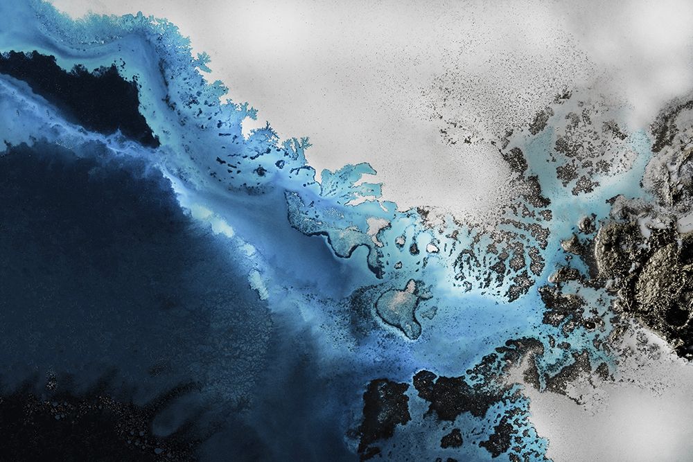 Maritime Majesty art print by Petra de Meikle for $57.95 CAD