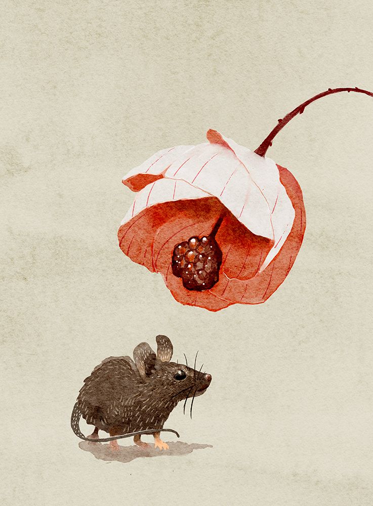 Mouse and Flower art print by Katie O Shea for $57.95 CAD