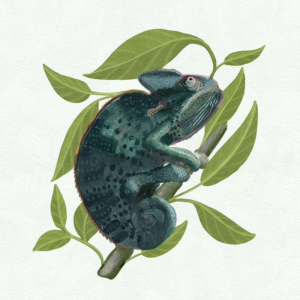 Geckgo art print by Katie O Shea for $57.95 CAD