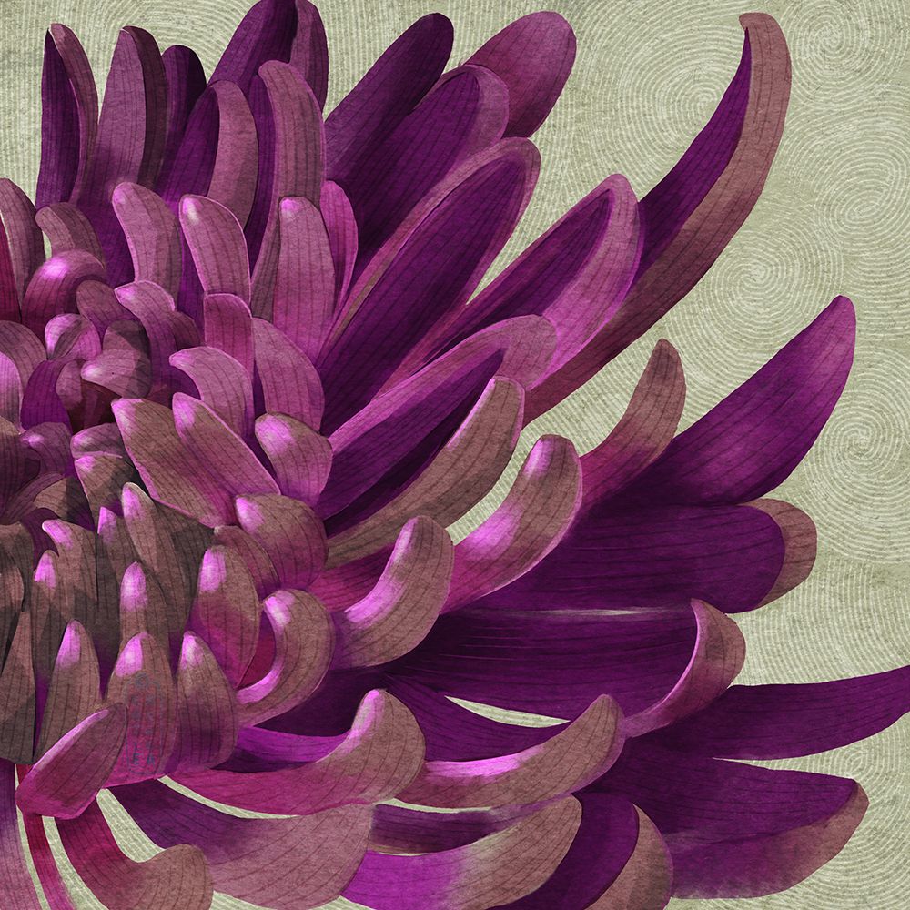 Chrysanthemum Purple art print by Katie O Shea for $57.95 CAD