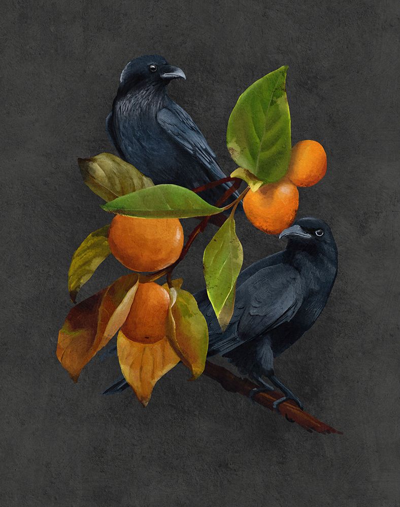 Crows.png art print by Katie O Shea for $57.95 CAD