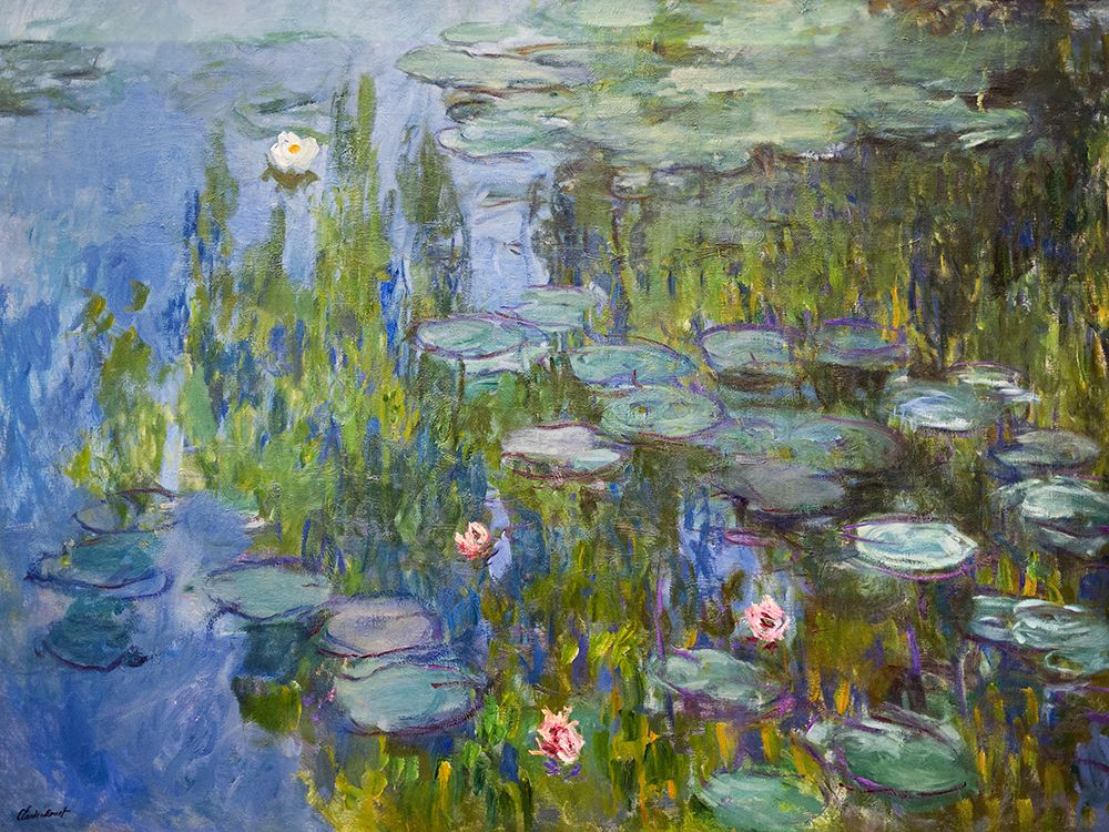 Claude Monets Water Lilies (1915) art print by Claude Monet for $57.95 CAD