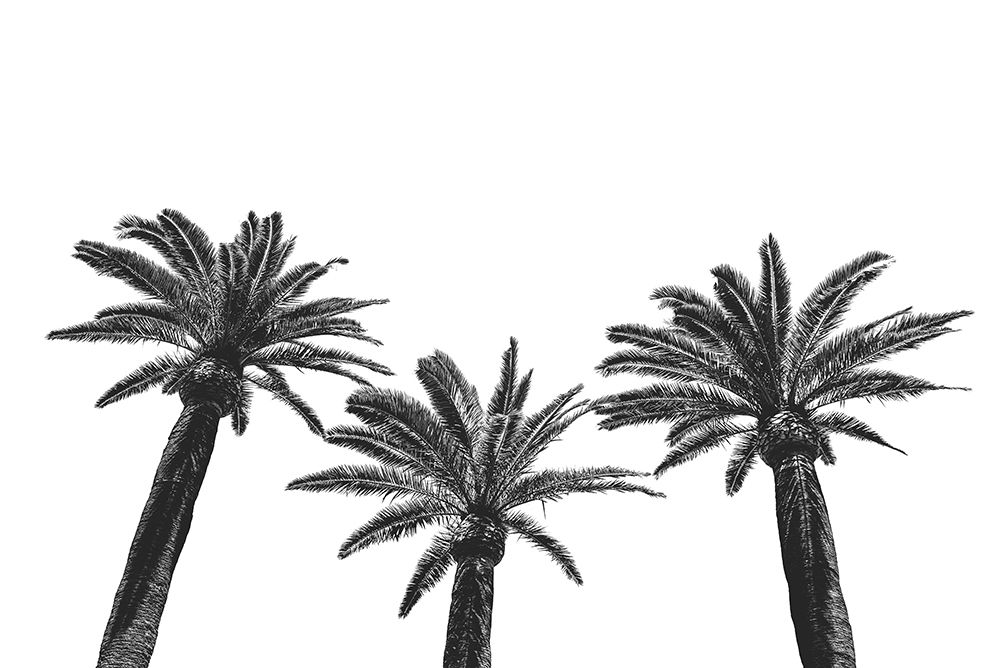 Three palm trees art print by Photolovers for $57.95 CAD